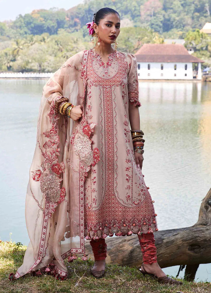 Hussain Rehar Embroidered Lawn Suit Unstitched 3 Piece HRR25LL D-02 Mari - Summer Collection