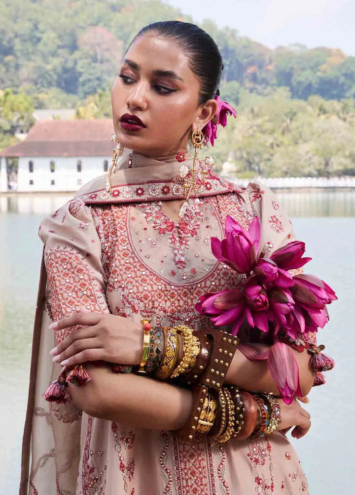 Hussain Rehar Embroidered Lawn Suit Unstitched 3 Piece HRR25LL D-02 Mari - Summer Collection