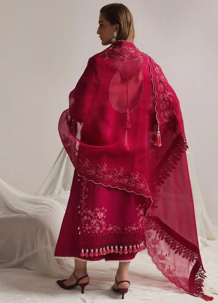 Hussain Rehar Embroidered Lawn Suit Unstitched 3 Piece HRRS24E Pelle - Festive Collection