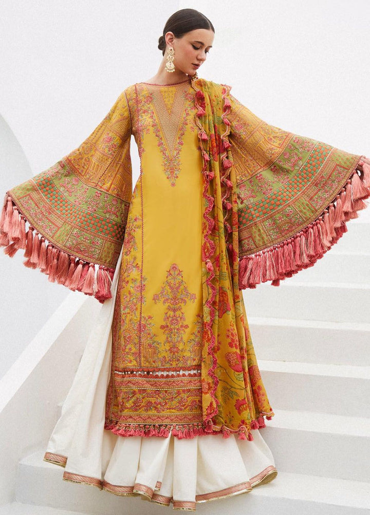 Hussain Rehar Embroidered Lawn Suits Unstitched 3 Piece HRR24EL Euphoria - Luxury Collection