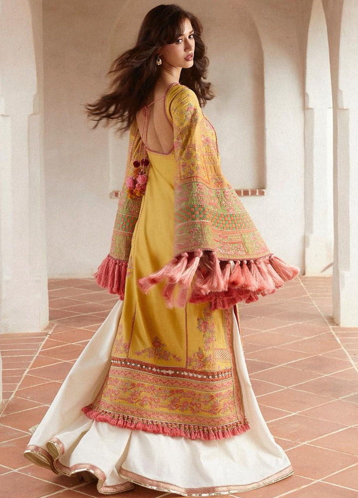 Hussain Rehar Embroidered Lawn Suits Unstitched 3 Piece HRR24EL Euphoria - Luxury Collection
