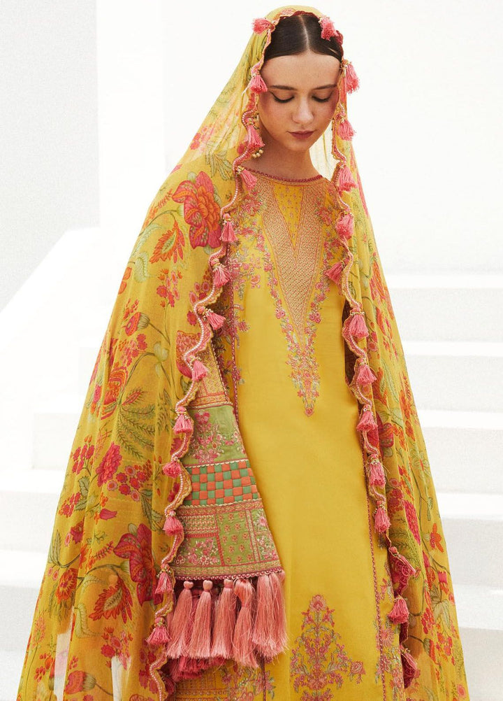 Hussain Rehar Embroidered Lawn Suits Unstitched 3 Piece HRR24EL Euphoria - Luxury Collection