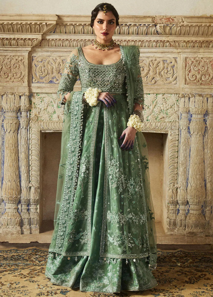 Hussain Rehar Embroidered Net Suit Unstitched 3 Piece HRR24F Parag - Formal Collection