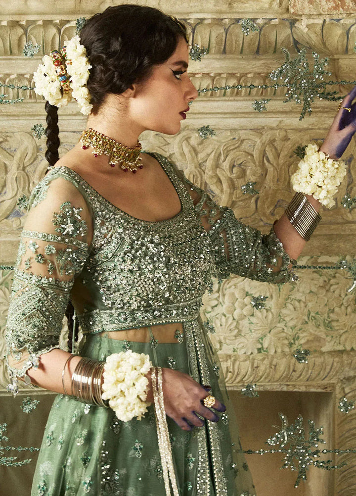 Hussain Rehar Embroidered Net Suit Unstitched 3 Piece HRR24F Parag - Formal Collection