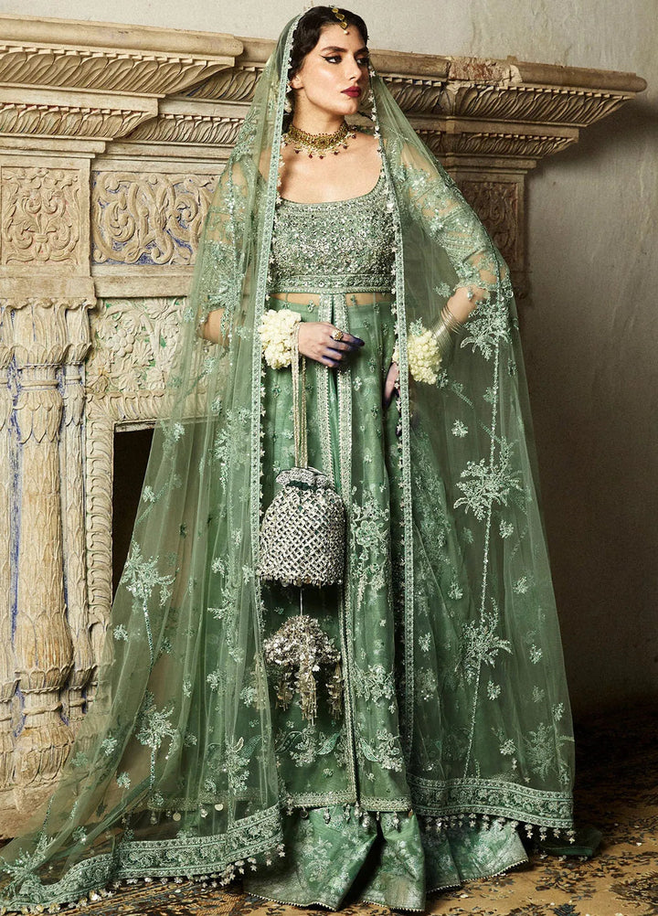 Hussain Rehar Embroidered Net Suit Unstitched 3 Piece HRR24F Parag - Formal Collection