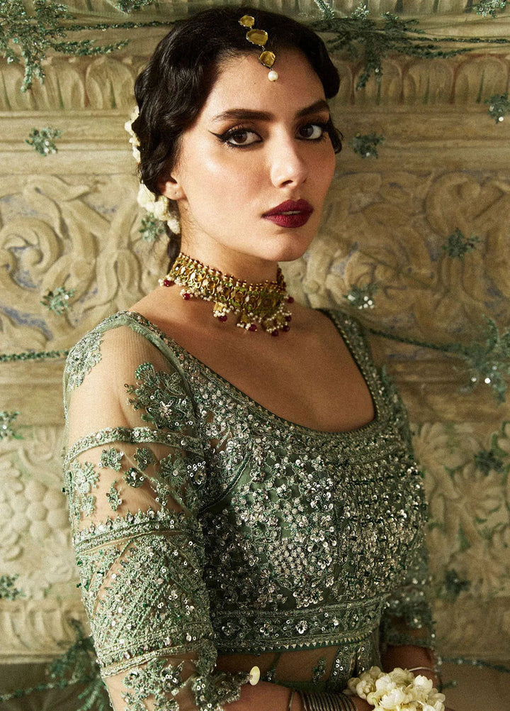 Hussain Rehar Embroidered Net Suit Unstitched 3 Piece HRR24F Parag - Formal Collection