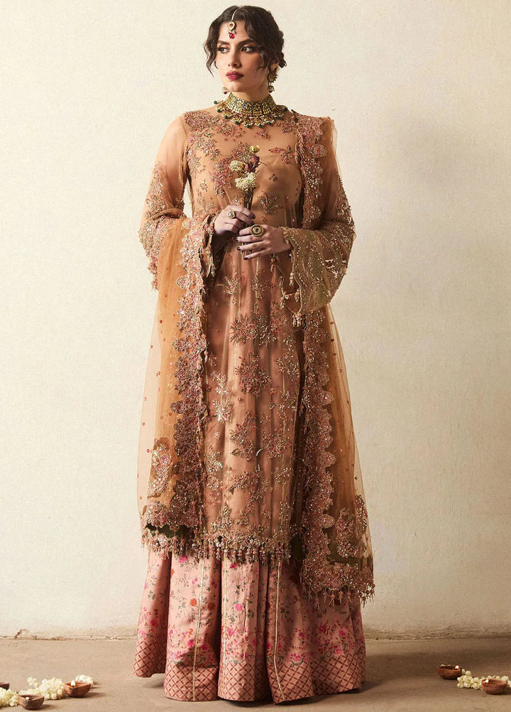 Hussain Rehar Embroidered Net Suit Unstitched 3 Piece HRR24F Raitla - Formal Collection