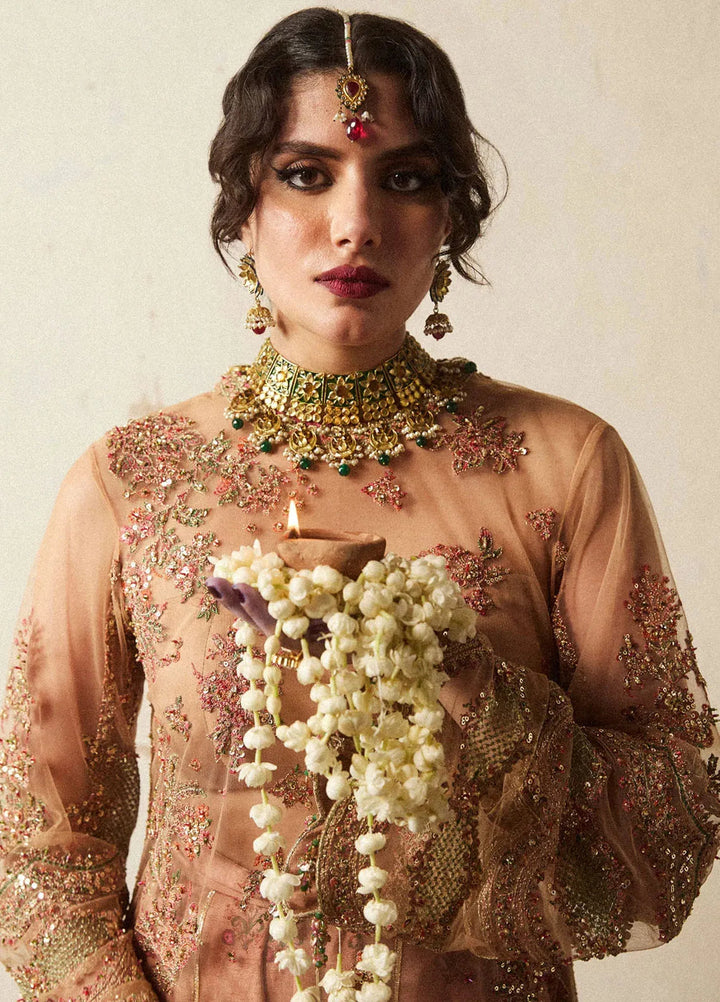 Hussain Rehar Embroidered Net Suit Unstitched 3 Piece HRR24F Raitla - Formal Collection