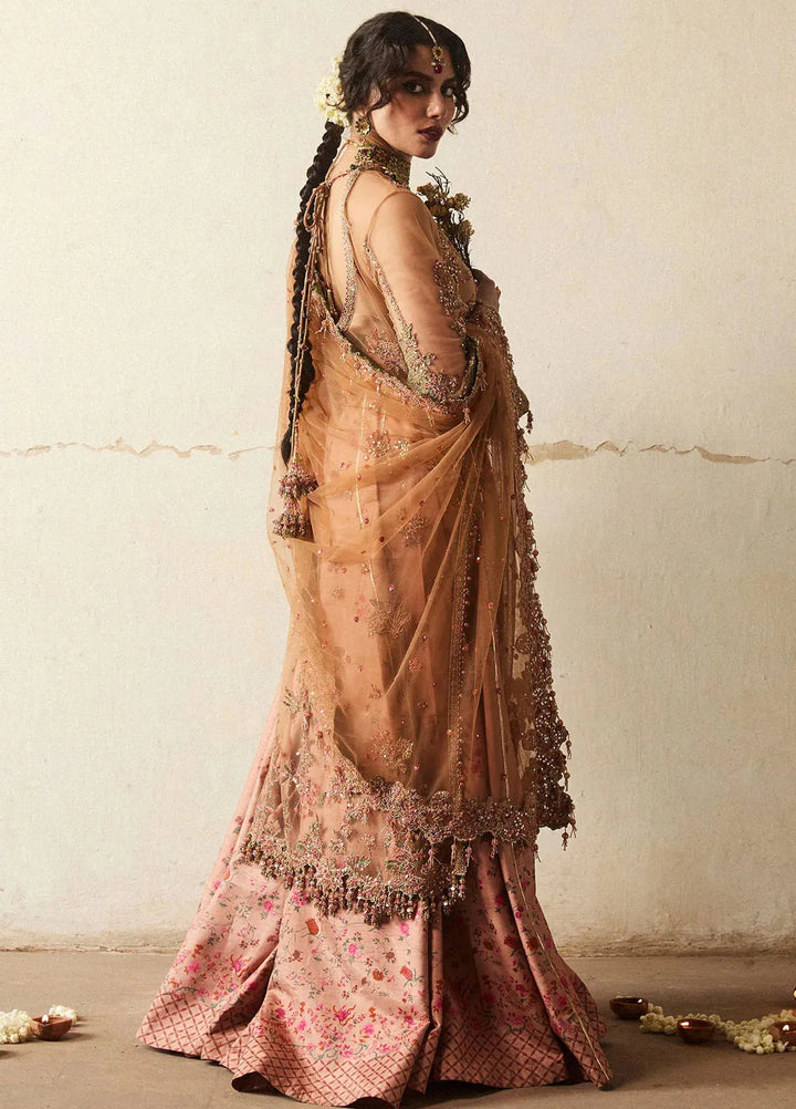 Hussain Rehar Embroidered Net Suit Unstitched 3 Piece HRR24F Raitla - Formal Collection