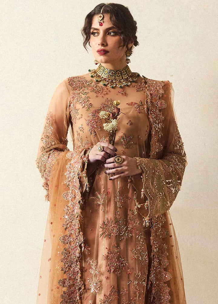 Hussain Rehar Embroidered Net Suit Unstitched 3 Piece HRR24F Raitla - Formal Collection