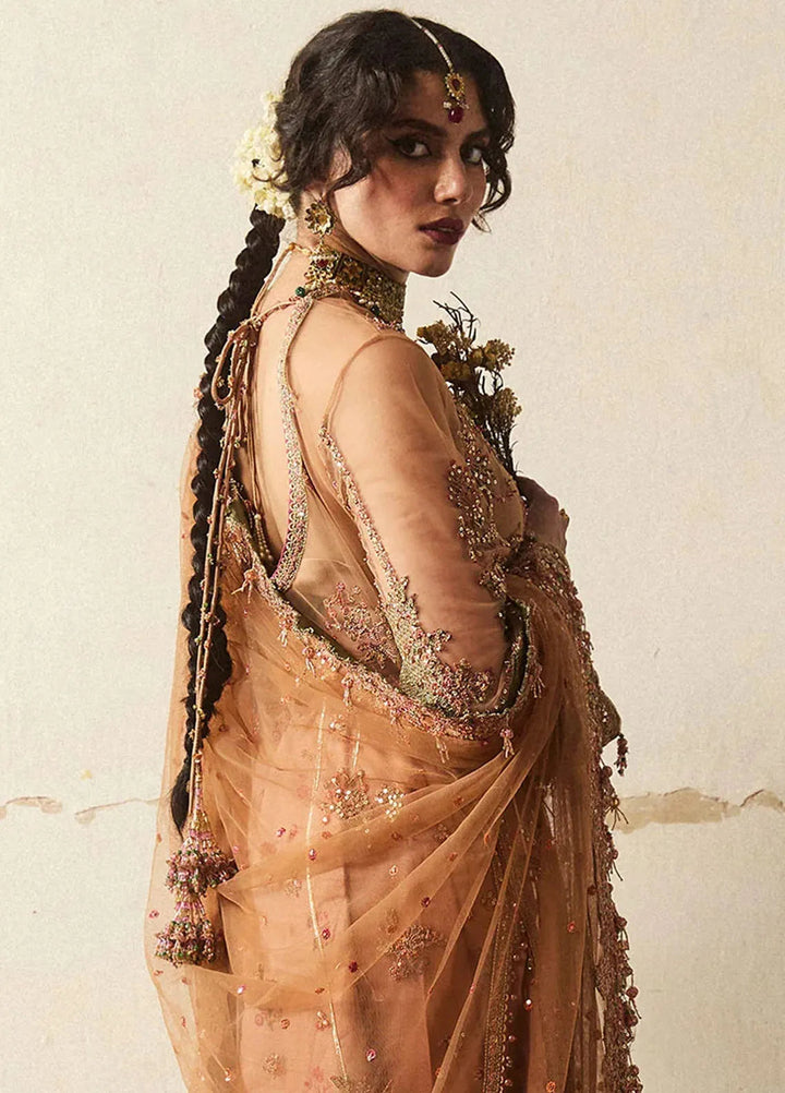 Hussain Rehar Embroidered Net Suit Unstitched 3 Piece HRR24F Raitla - Formal Collection