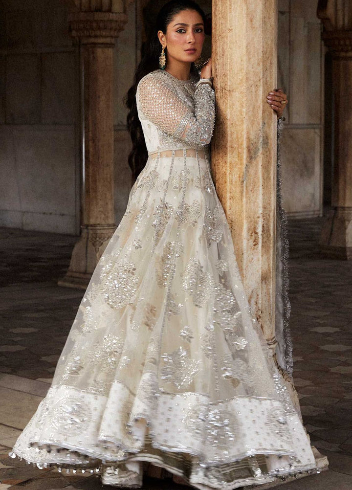 Hussain Rehar Embroidered Net Suits Unstitched 3 Piece HRR24LF Imami - Luxury Collection