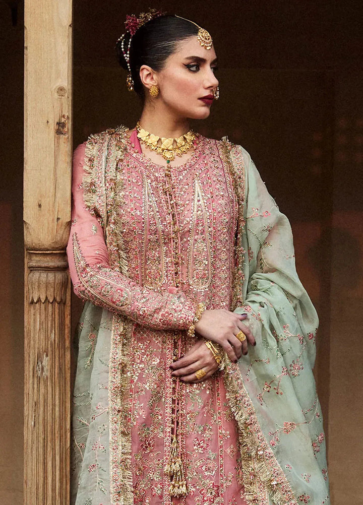 Hussain Rehar Embroidered Organza Suit Unstitched 3 Piece HRR24F Aadoo - Formal Collection