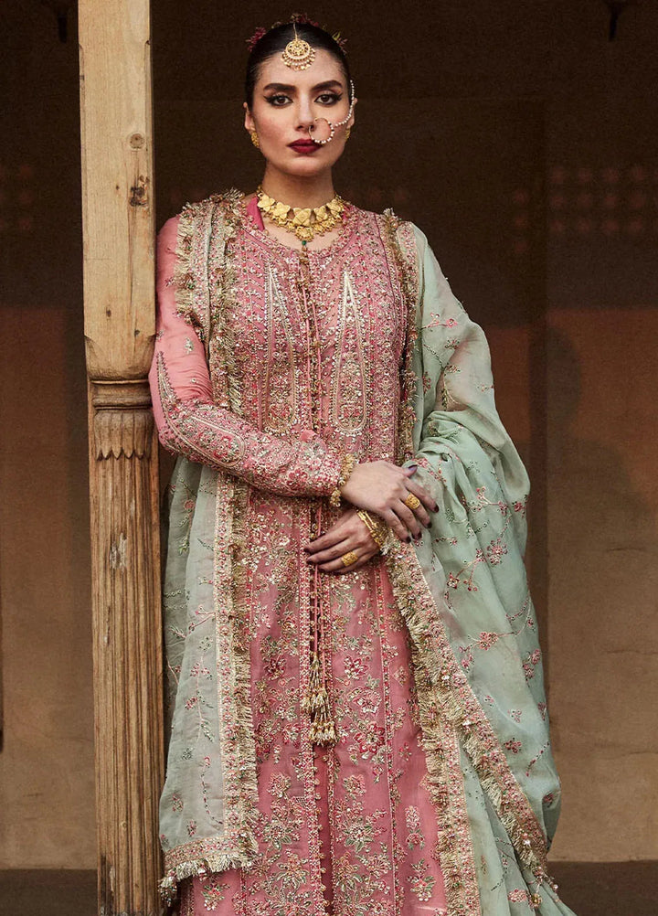 Hussain Rehar Embroidered Organza Suit Unstitched 3 Piece HRR24F Aadoo - Formal Collection