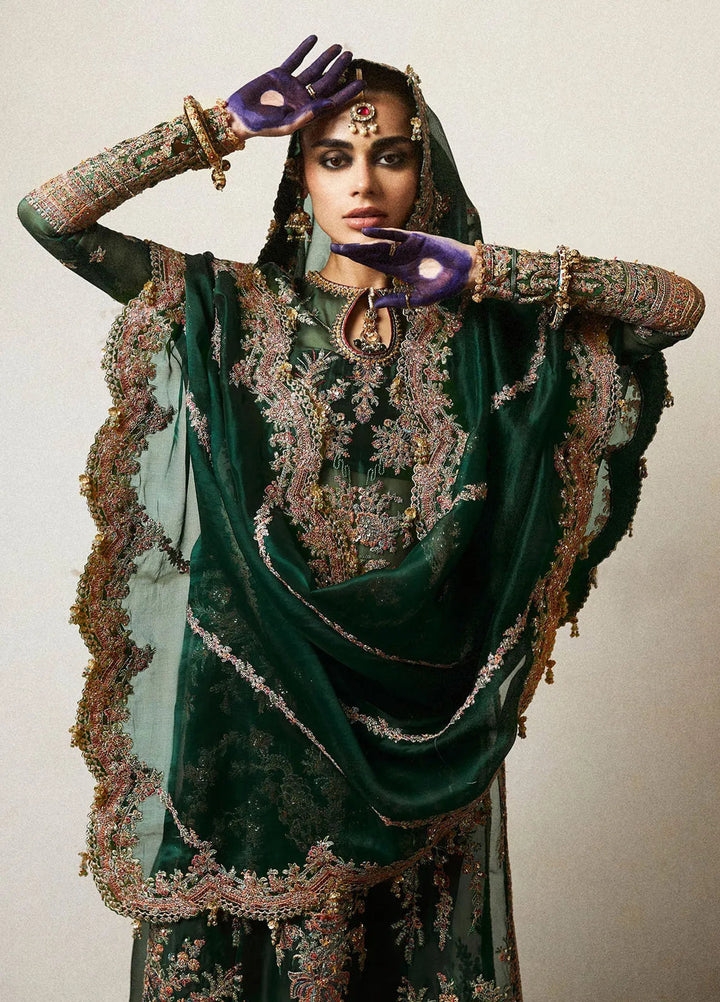 Hussain Rehar Embroidered Organza Suit Unstitched 3 Piece HRR24F Jamali - Formal Collection