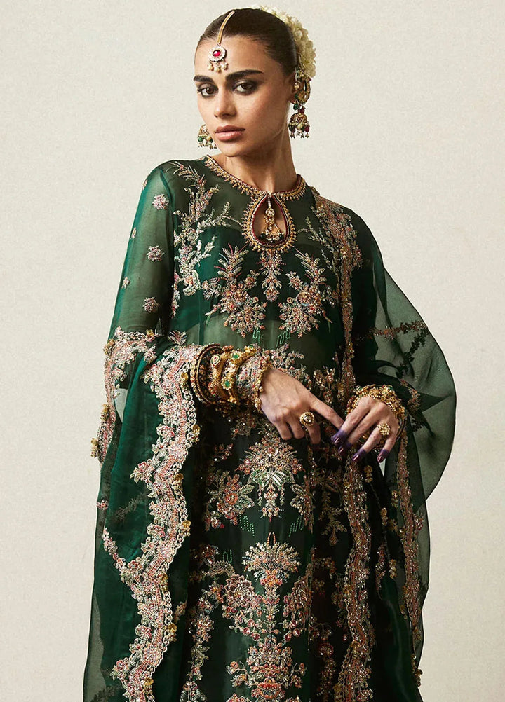 Hussain Rehar Embroidered Organza Suit Unstitched 3 Piece HRR24F Jamali - Formal Collection