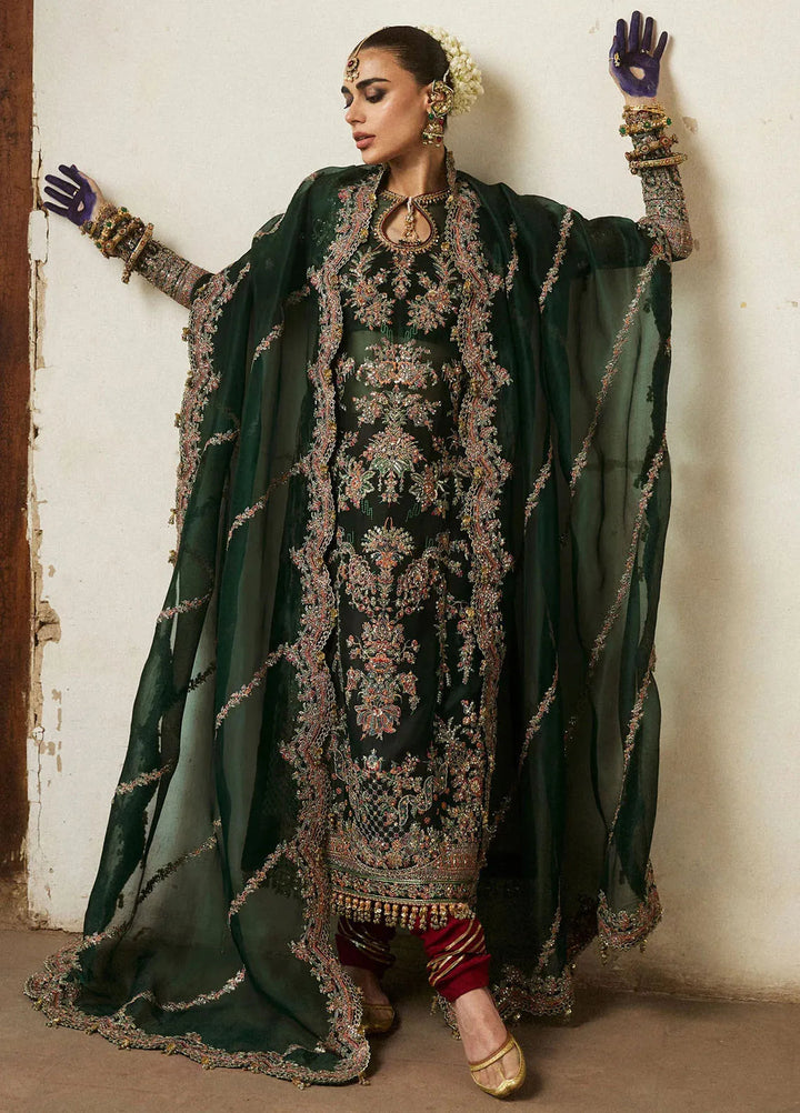 Hussain Rehar Embroidered Organza Suit Unstitched 3 Piece HRR24F Jamali - Formal Collection