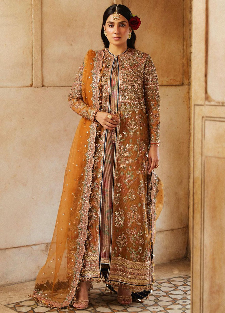 Hussain Rehar Embroidered Organza Suits Unstitched 3 Piece HRR24LF Zareena - Luxury Collection