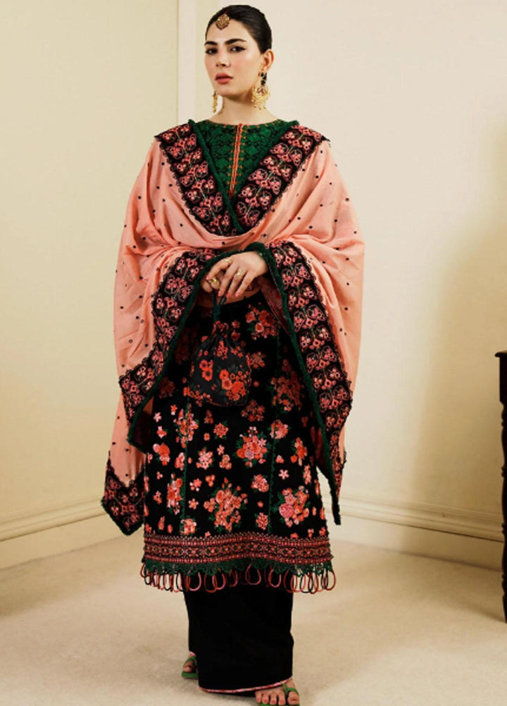 Hussain Rehar Embroidered Lawn Suits Unstitched 3 Piece HRR23FE Noir - Spring / Summer Collection