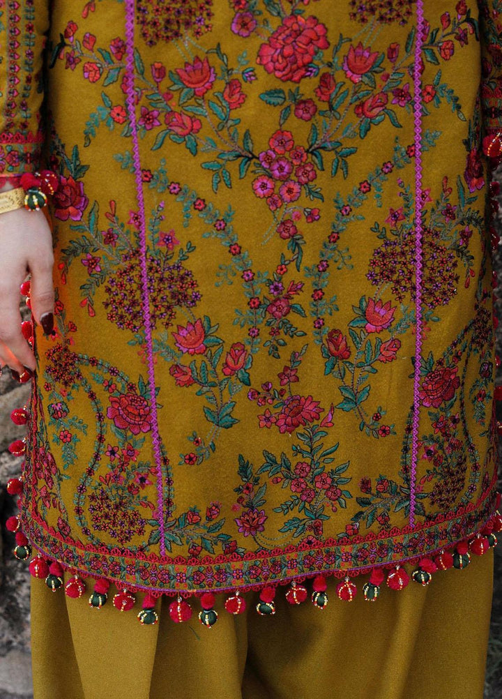 Hussain Rehar Embroidered Karandi Suits Unstitched 3 Piece HRR23KW Aureate - Winter Collection