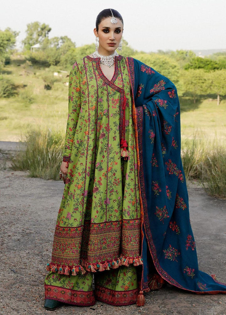 Hussain Rehar Embroidered Karandi Suits Unstitched 3 Piece HRR23KW Corral - Winter Collection