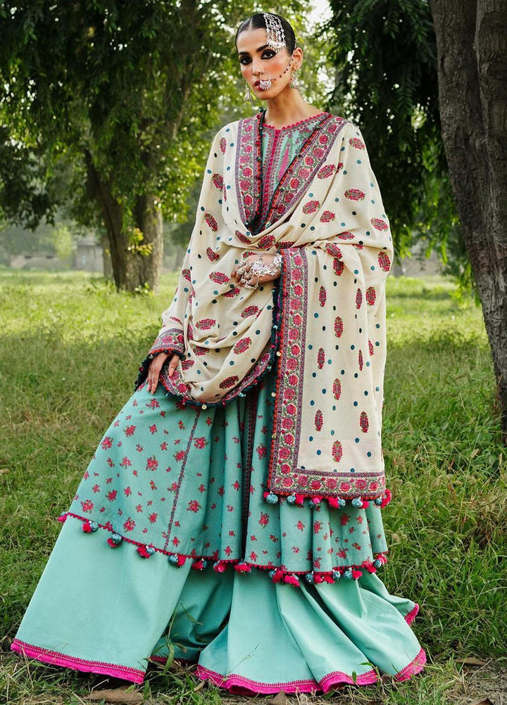 Hussain Rehar Embroidered Karandi Suits Unstitched 3 Piece HRR23KW Ferozi - Winter Collection