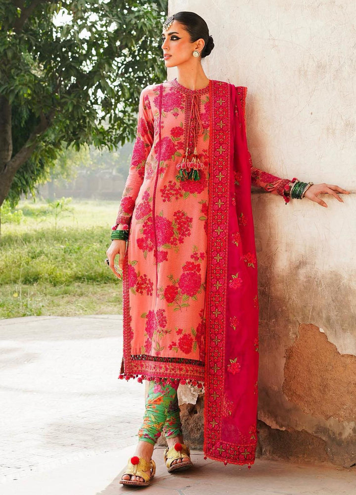 Hussain Rehar Embroidered Karandi Suits Unstitched 3 Piece HRR23KW Tulip - Winter Collection