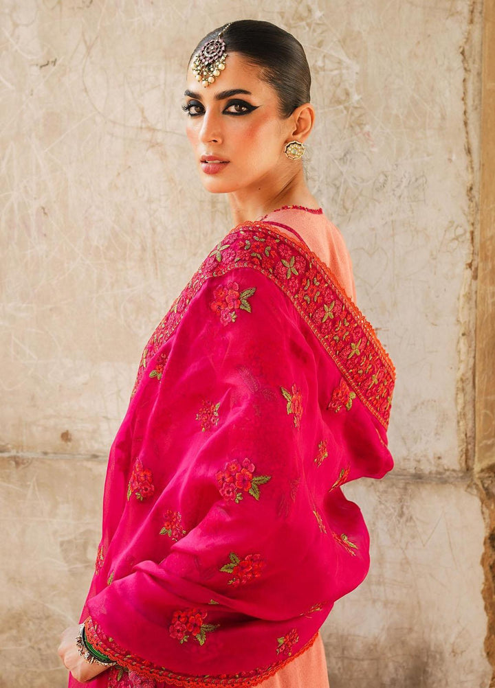 Hussain Rehar Embroidered Karandi Suits Unstitched 3 Piece HRR23KW Tulip - Winter Collection