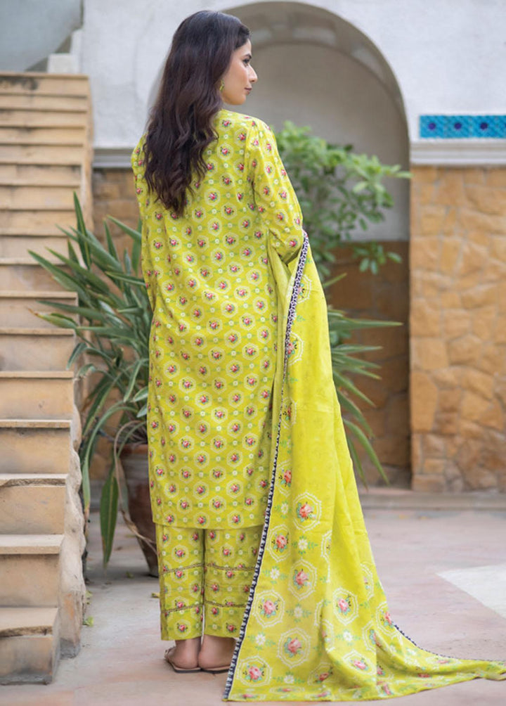 Identic Separates By Regalia Textiles Printed Lawn Suits Unstitched 3 Piece RGT23-IS8 8 - Summer Collection