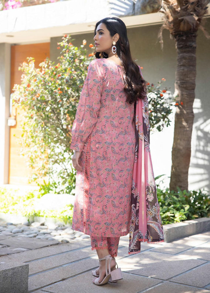 Identic Separates By Regalia Textiles Printed Lawn Suits Unstitched 3 Piece RGT23-IS2 02 - Summer Collection