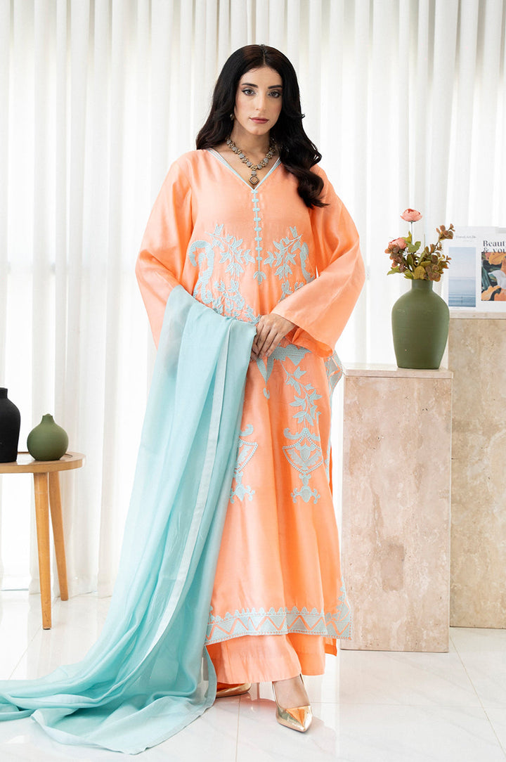 Liyaana From Nizka By Nida Rehan RTW Embroidered Silk and Organza 3 Piece Suit Tangerine Mist - Festive Collection