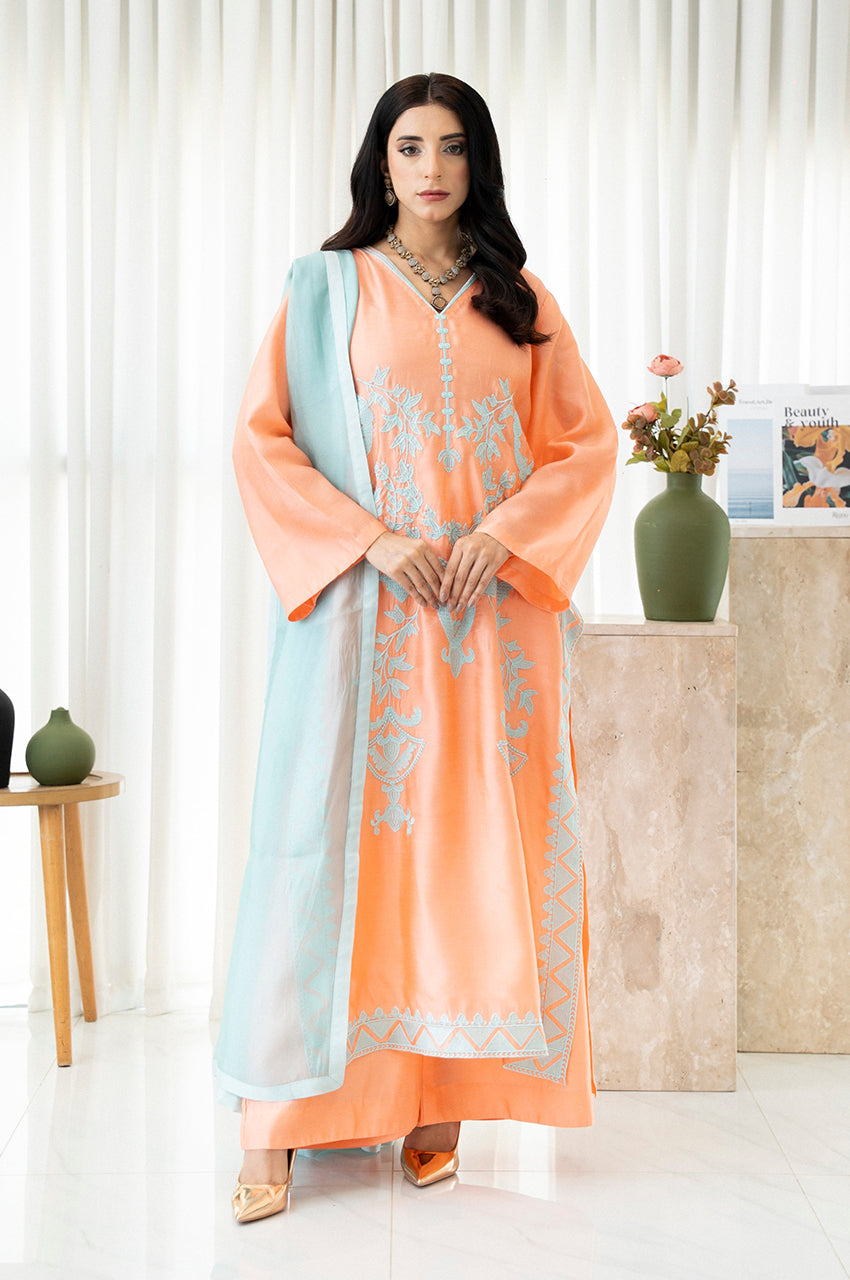 Liyaana From Nizka By Nida Rehan RTW Embroidered Silk and Organza 3 Piece Suit Tangerine Mist - Festive Collection