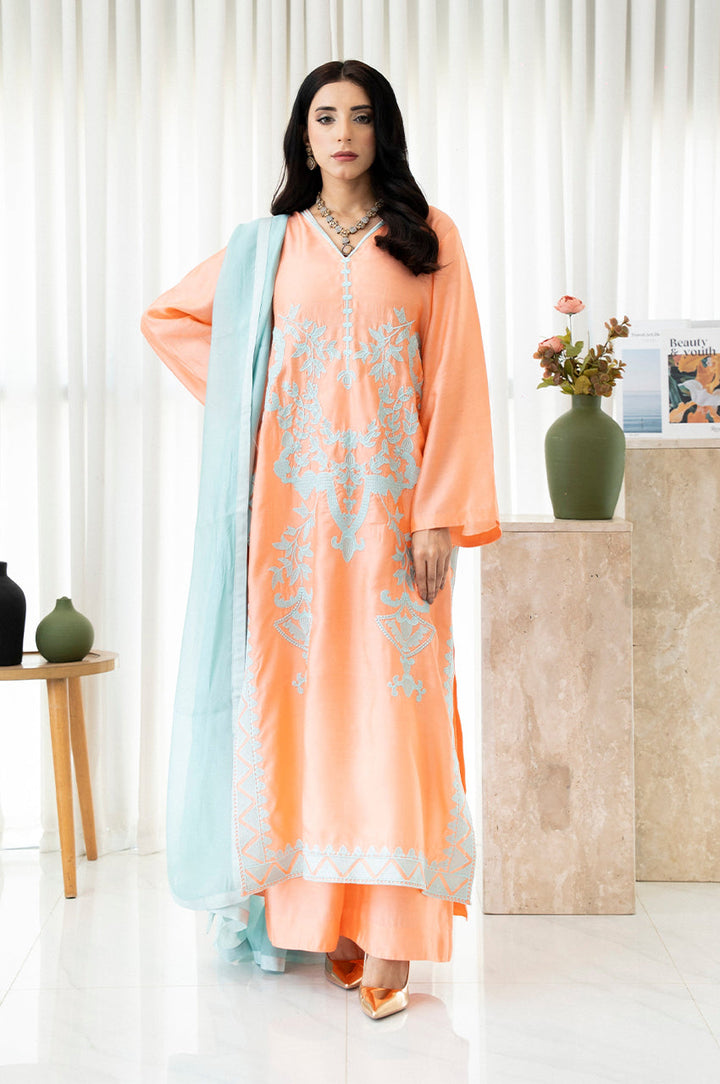 Liyaana From Nizka By Nida Rehan RTW Embroidered Organza Silk 3 Piece Suit Midnight Mist - Festive Collection
