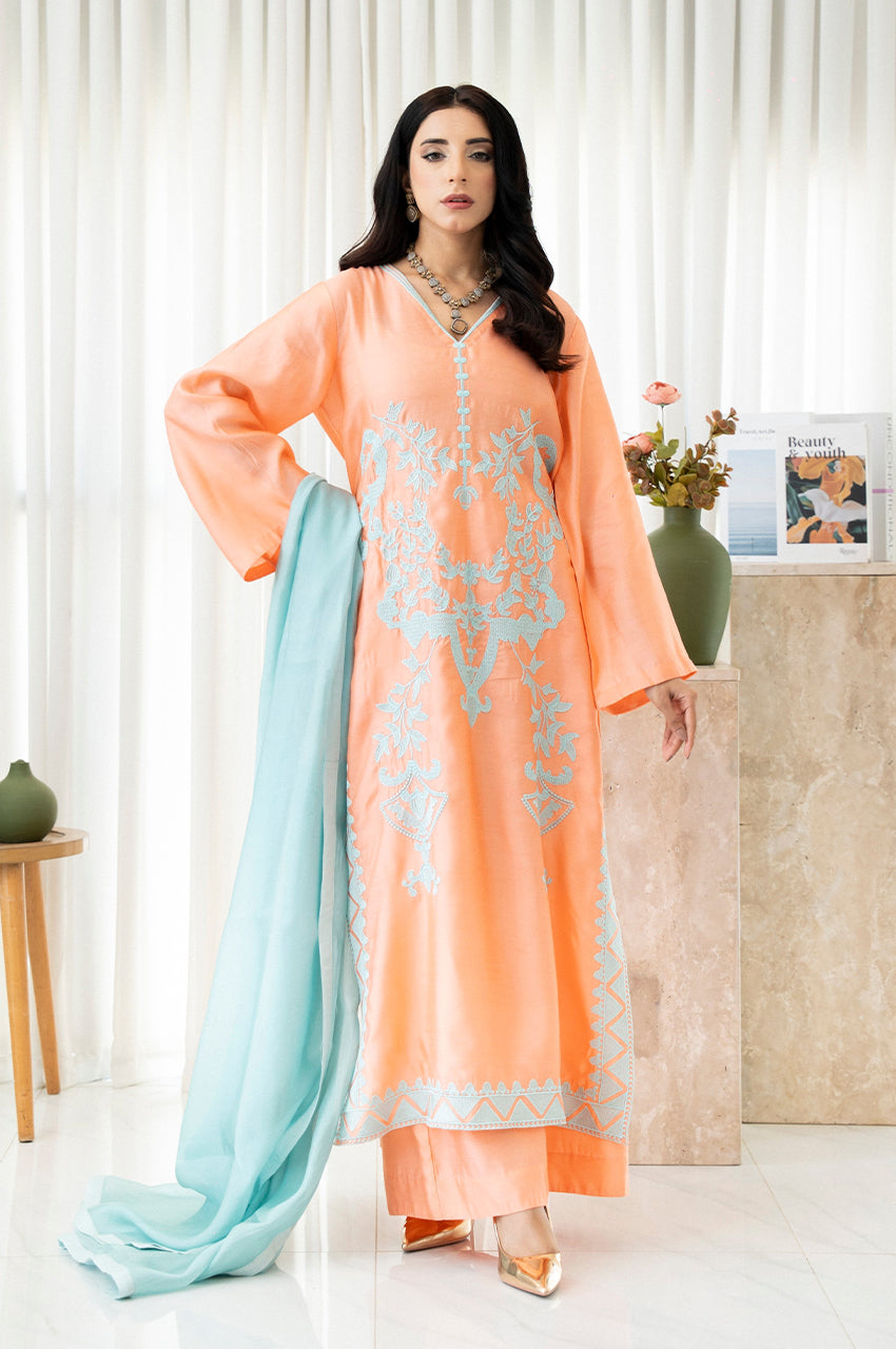 Liyaana From Nizka By Nida Rehan RTW Embroidered Silk and Organza 3 Piece Suit Tangerine Mist - Festive Collection