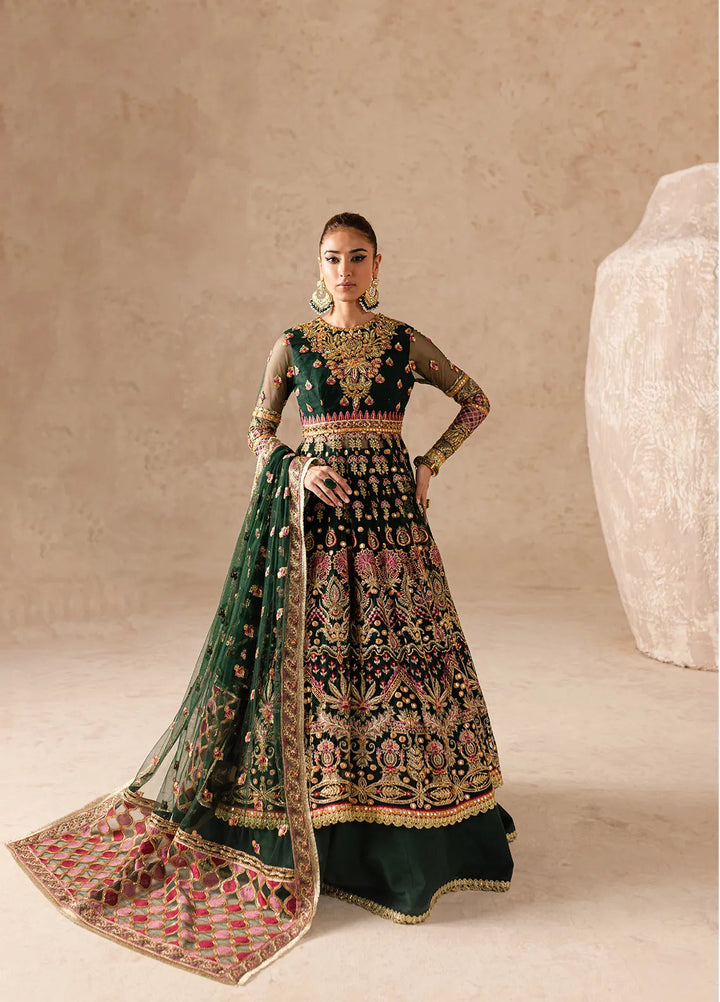 Imran Ramzan Embroidered Net Suits Unstitched 3 Piece IR24C Jardin - Formals Collection