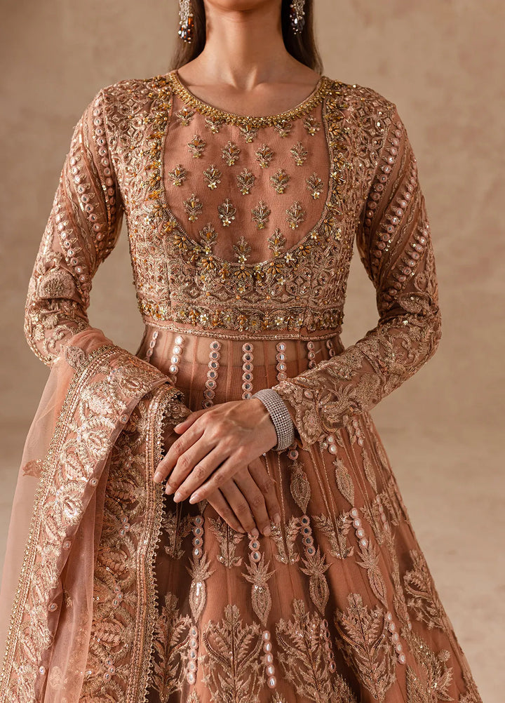 Imran Ramzan Embroidered Net Suits Unstitched 3 Piece IR24C Roselyn - Formals Collection