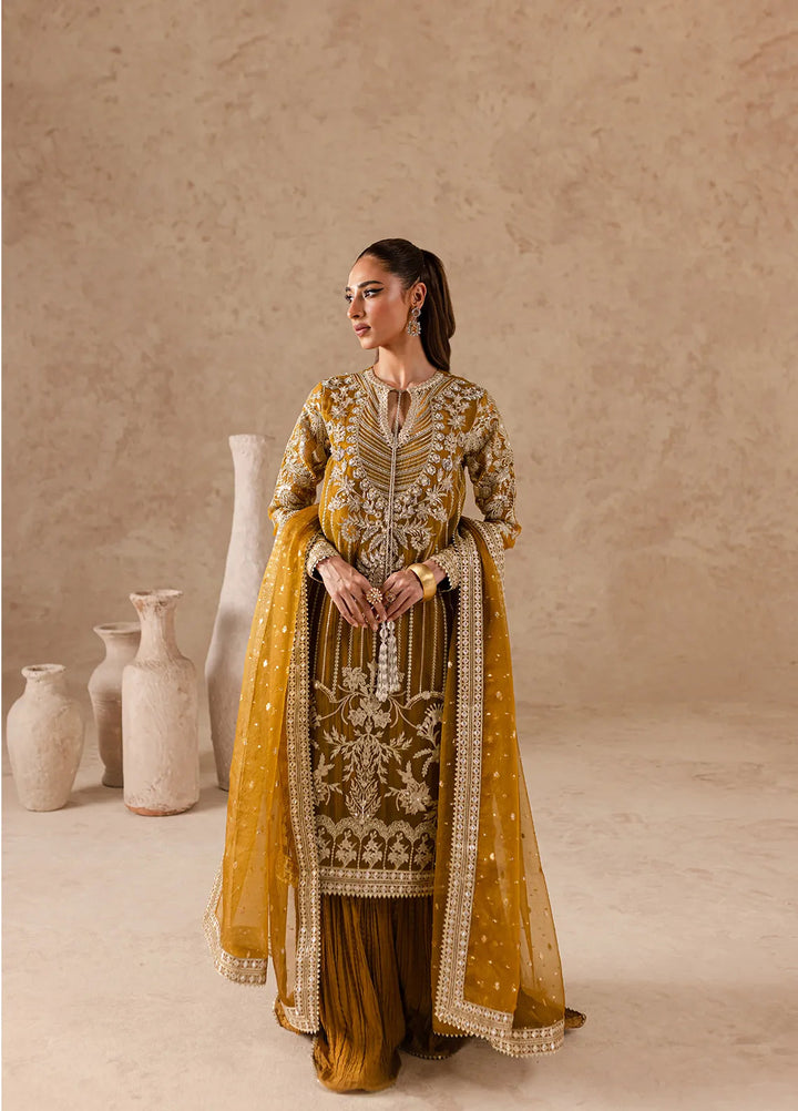 Imran Ramzan Embroidered Organza Suits Unstitched 3 Piece IR24C Aeliana - Formals Collection