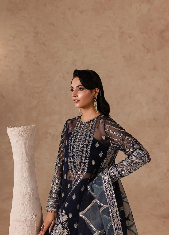 Imran Ramzan Embroidered Organza Suits Unstitched 3 Piece IR24C Nocturne - Formals Collection