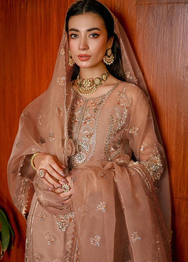 Imran Ramzan Embroidered Organza Suits Unstitched 3 Piece IR24R Arzu - Formals Collection