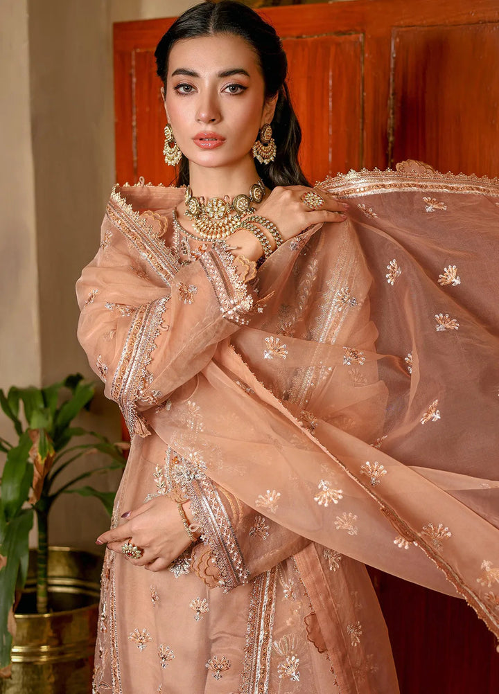 Imran Ramzan Embroidered Organza Suits Unstitched 3 Piece IR24R Arzu - Formals Collection