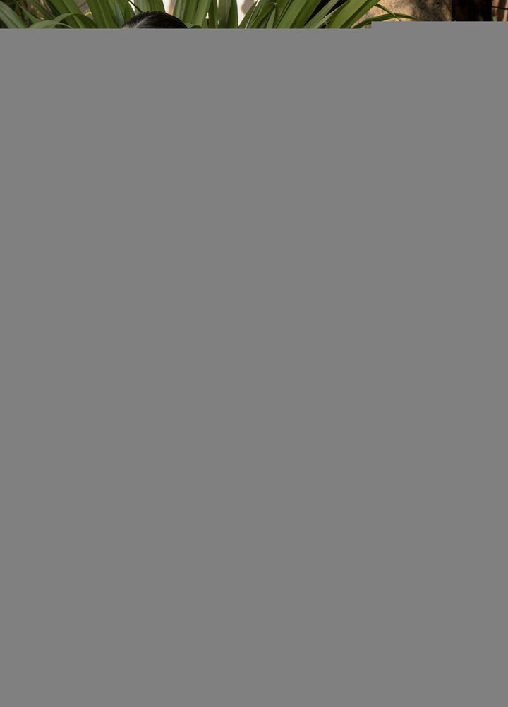 De Velour By Imrozia Premium Embroidered Velvet Suits Unstitched 3 Piece IMP22DV I.V-12 Sphene - Luxury Collection