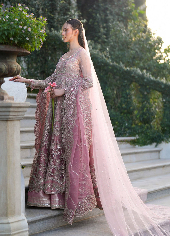 Inayat Embroidered Net Suits Unstitched 3 Piece INT25UF INFF-07 Elva - Formals Collection