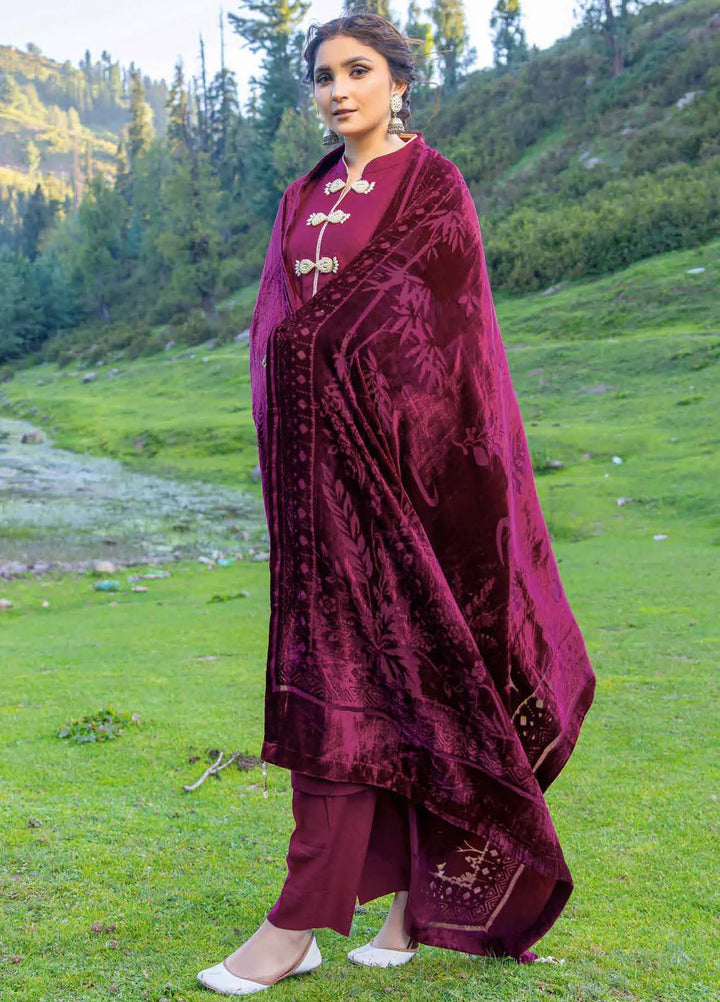 Insia By Riaz Arts Embroidered Wool Suit Unstitched 3 Piece RA24I D-06 - Winter Collection