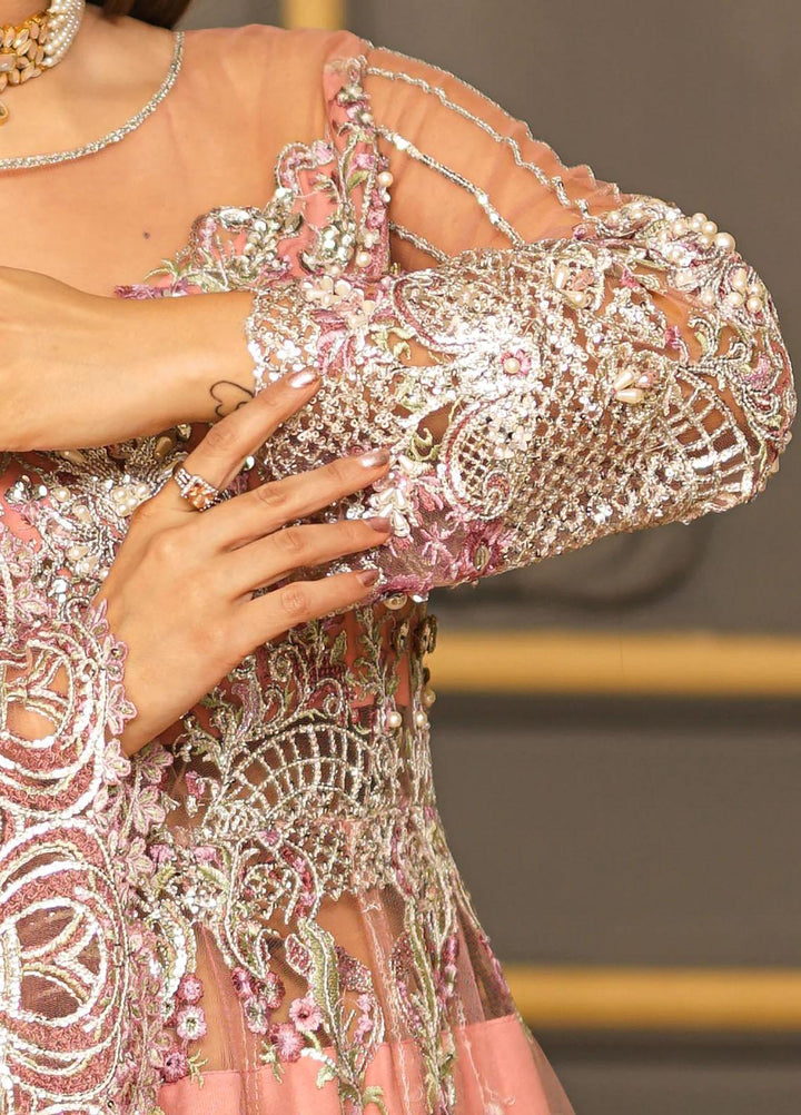 Insiya Clothing Embroidered Net Suits Unstitched 3 Piece INS23WF Design Code 02 - Festive Collection