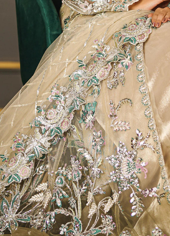 Insiya Clothing Embroidered Net Suits Unstitched 3 Piece INS23WF Design Code 03 - Festive Collection