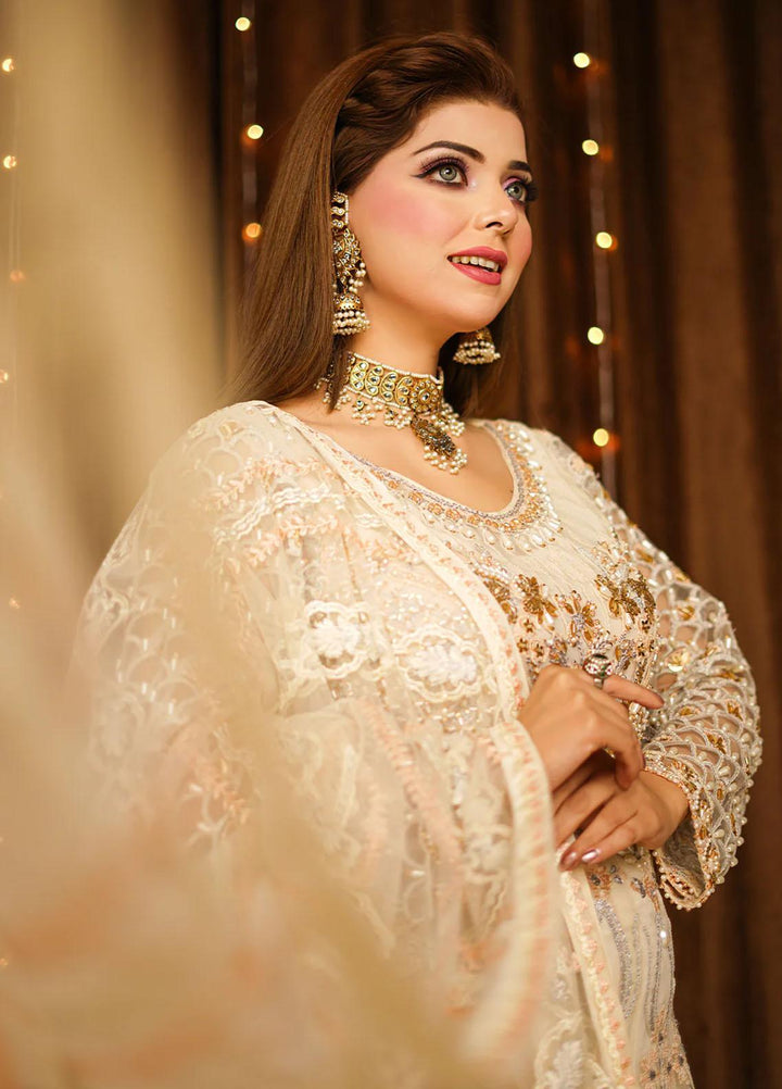 Insiya Clothing Embroidered Net Suits Unstitched 3 Piece INS23WF Design Code 06 - Festive Collection