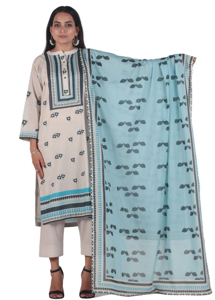 Vibgyor Fashion Pret Printed Lawn 3 Piece Suit D12-C2-23 ZADE ASH WHITE