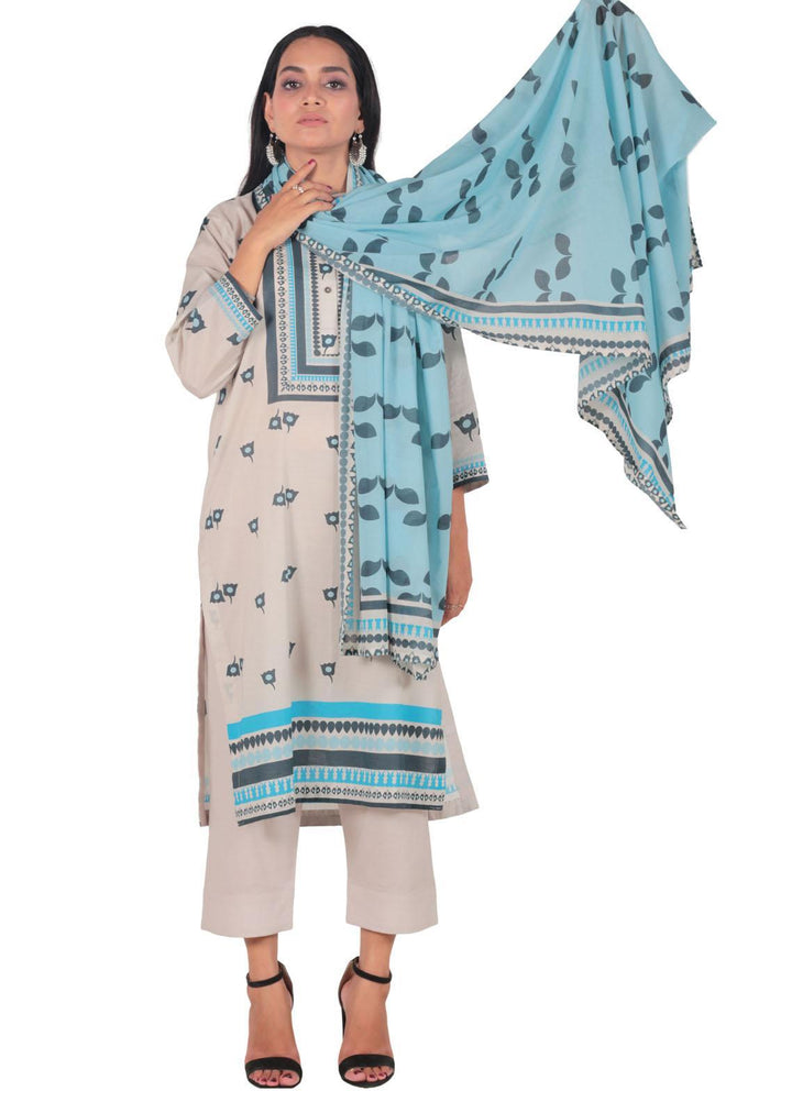 Vibgyor Fashion Pret Printed Lawn 3 Piece Suit D12-C2-23 ZADE ASH WHITE