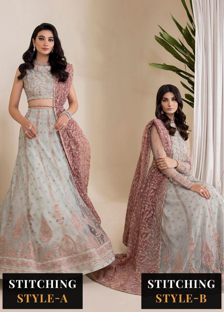 Iznik Embroidered Net Suits Unstitched 3 Piece IZ23CH CC-27 Aryanaa - Luxury Collection