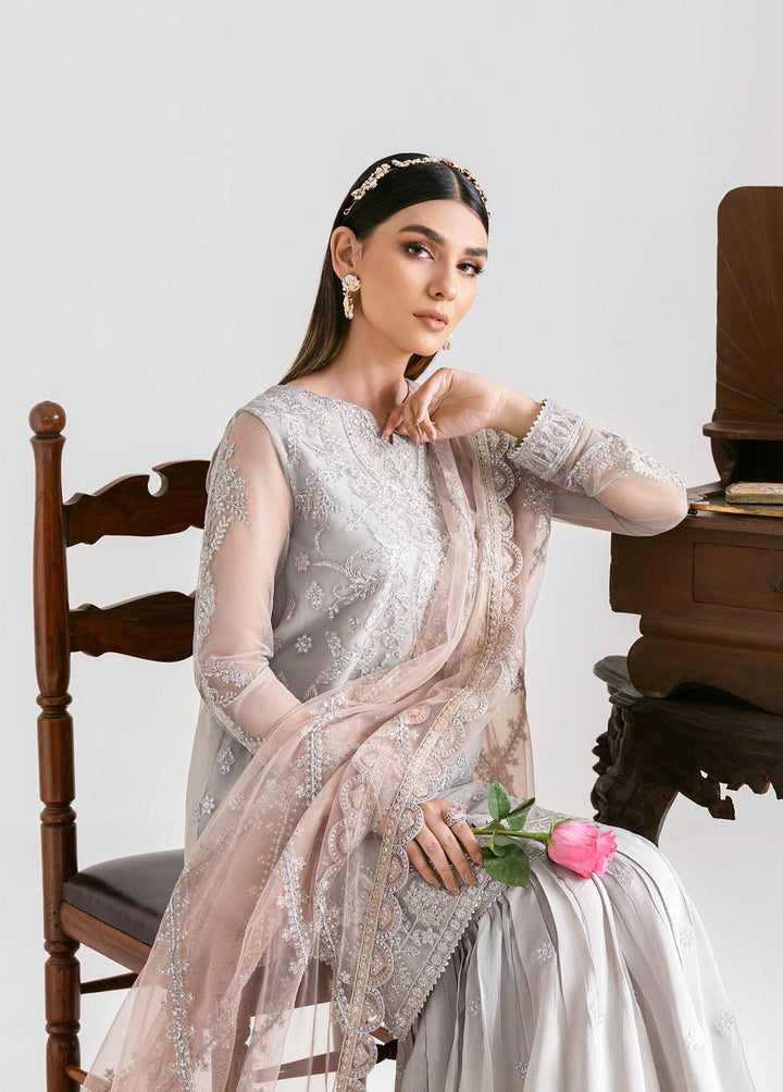 Iznik Embroidered Net Suits Unstitched 3 Piece IZ23-C2 CC-13 Marnie - Luxury Collection